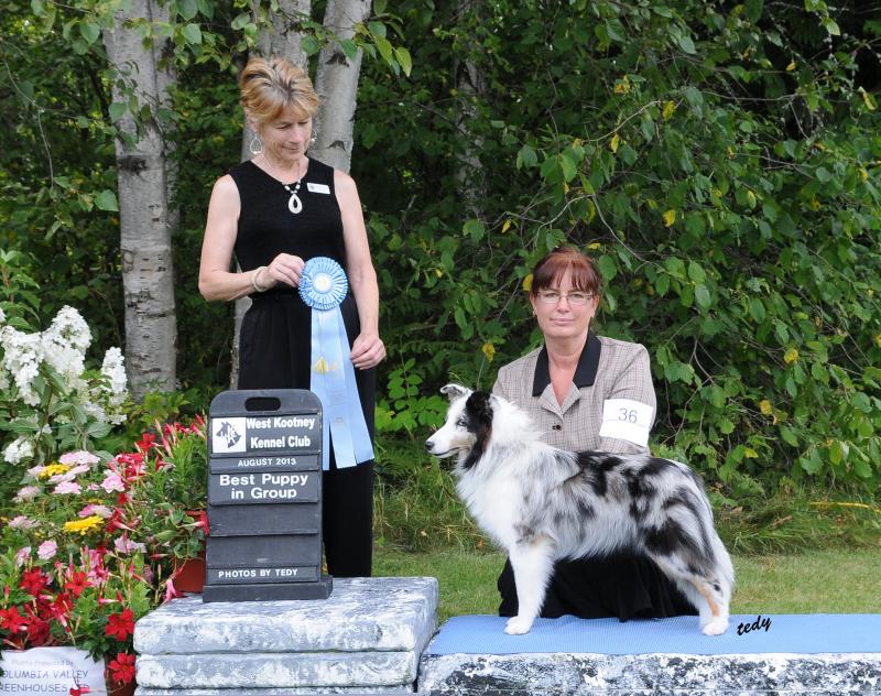 SIRONA'S SHINE BRIGHT CGN